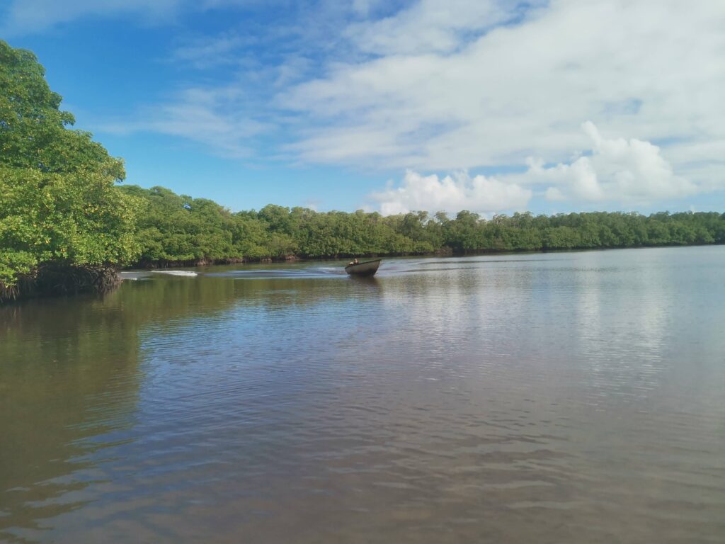 Rio dos Patos 2021, (sentindo-se na Amazonia) - Ilha de Boipeba - foto arquivo pessoal de Rebecca Aletheia 