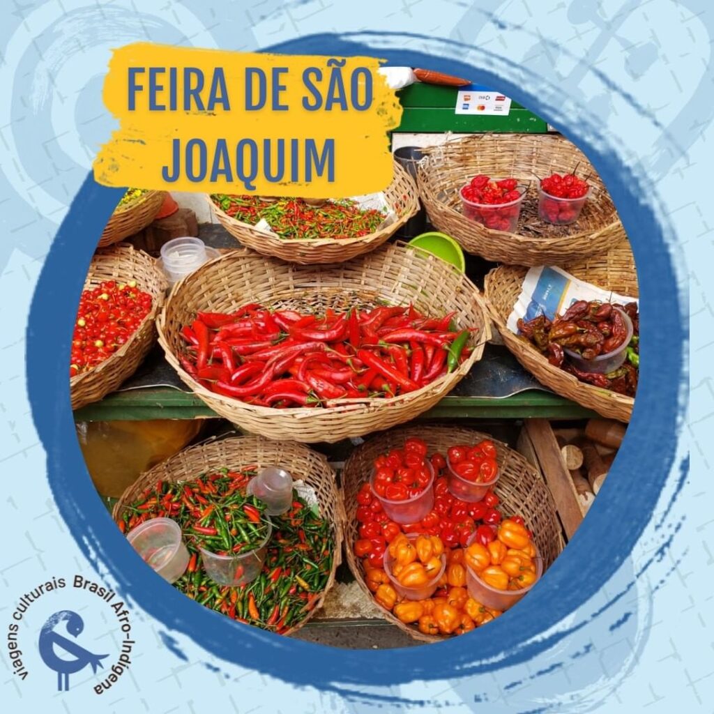 Feira de São Joaquim Salvador - lugares cultura negra em Salvador - Por Laynara