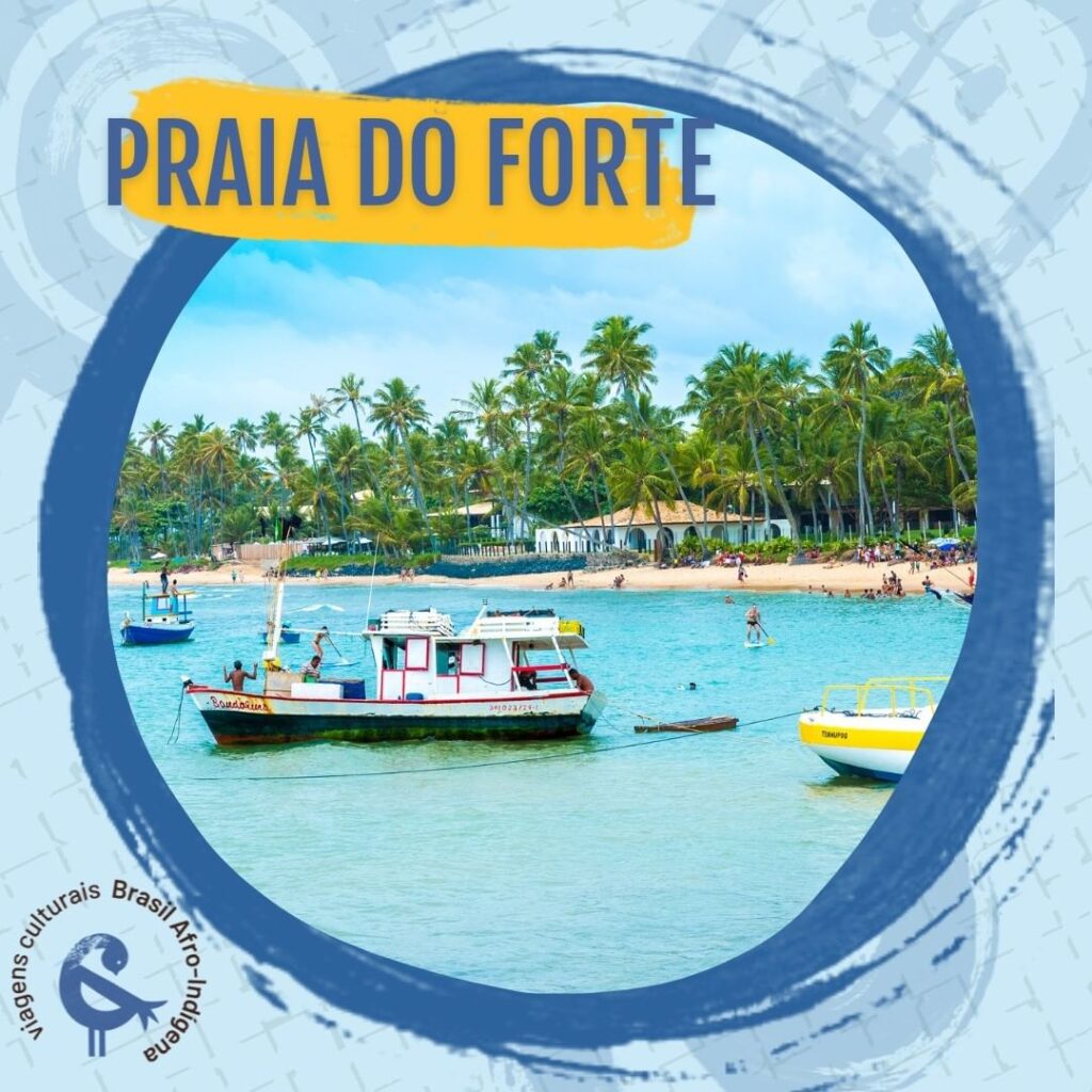 Praia do Forte - Bahia bate e volta de Salvador